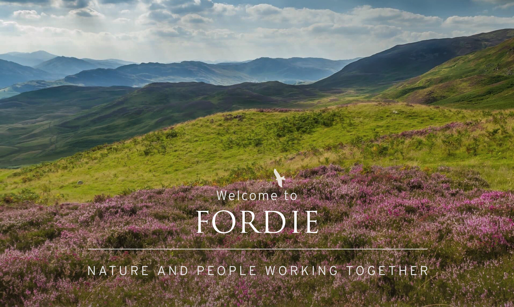 Welcome to Fordie Estate