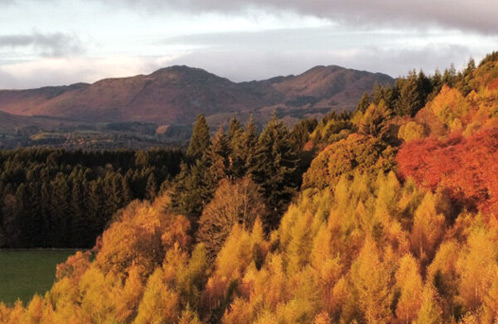 Woodland and Peatland