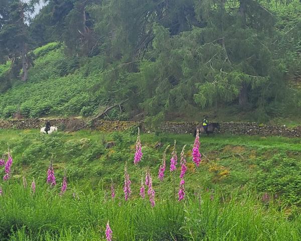 StrathRRag Braefordie Summer Camp